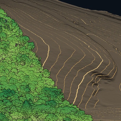 Canopy cut away to the measured ground beneath, with contours
